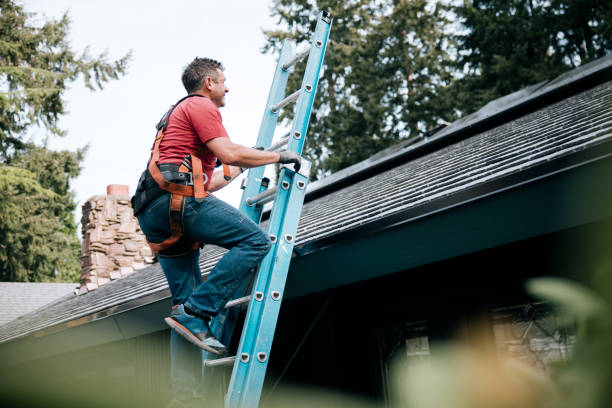 Best Gutter Installation and Repair  in Russellville, AL